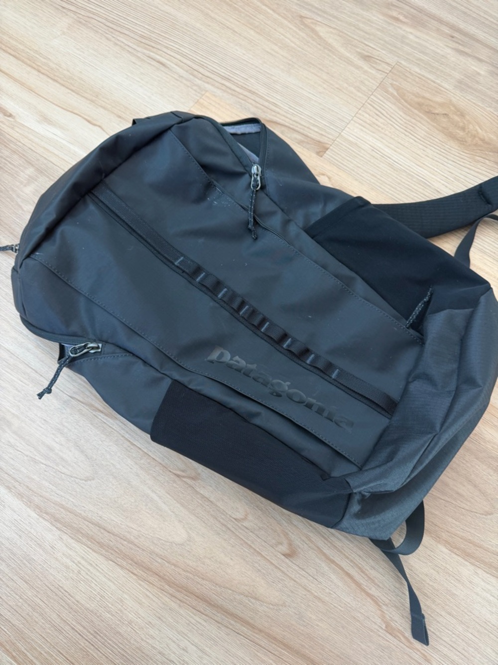 Patagonia Black Hole 25L Backpack